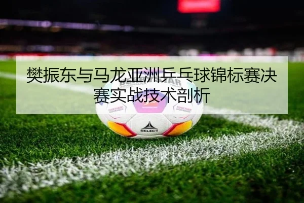樊振东与马龙亚洲乒乓球锦标赛决赛实战技术剖析